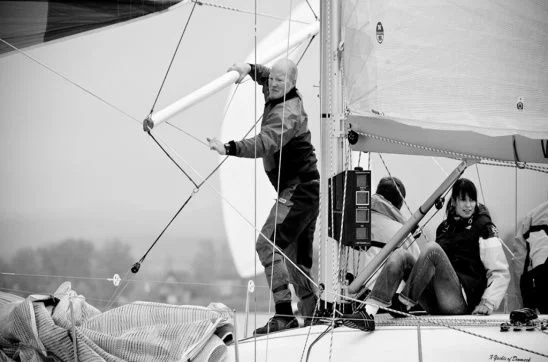 Last Minute Regatta