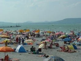 Kenéz nyerőre áll, a BAHART elbukott a bürokrácia útvesztőiben