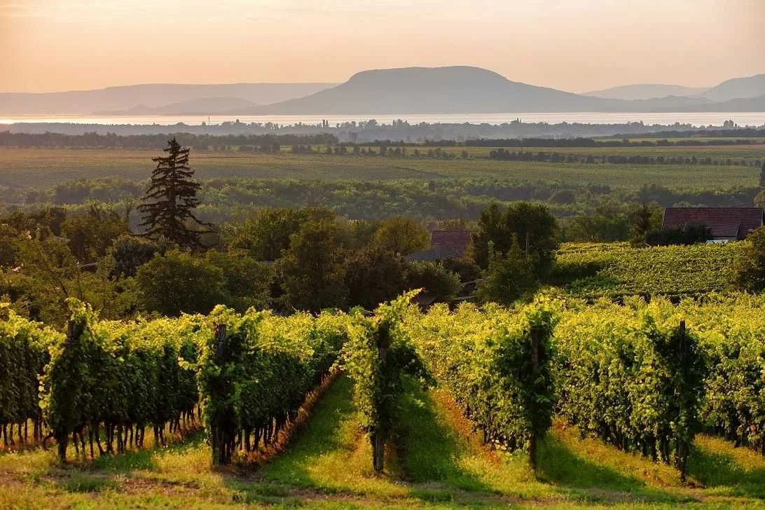 Külföldön is egyre ismertebb a Balaton
